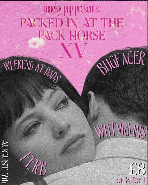 PIATPH XV: BUGFACER // FERB // WHTVRMNS // WEEKEND AT DADS