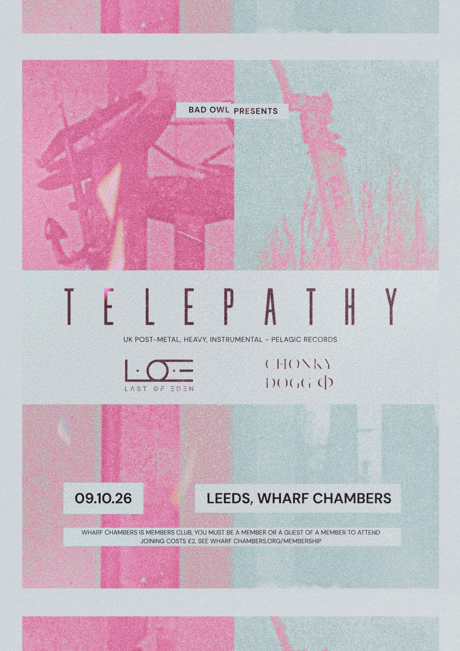 Bad Owl Presents… Telepathy + L.O.E. + Chonky Dogg