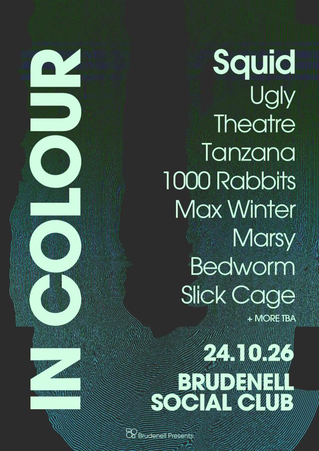 Poster for In Colour Feat Squid + more