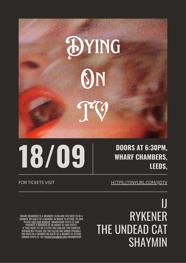 Poster for Friends of the Phantasm present 'Dying On Tv'